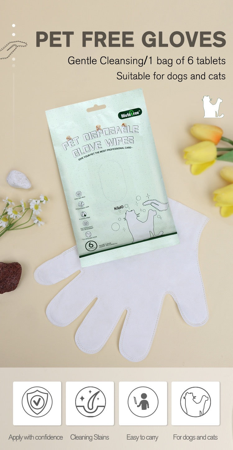 pet disposable glove wipes
